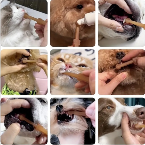 Small pet soft silicone toothbrush set with storage case - Picture 11 of 11